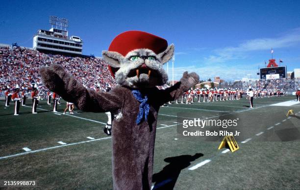 Arizona Wildcats Mascot on field sideline during football game at Arizona Stadium, November 12, 1983 in Tucson, Arizona.