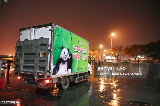Truck carrying the giant panda Fu Bao leaves for the Shenshuping giant panda base under the China Conservation and Research Center for Giant Panda...