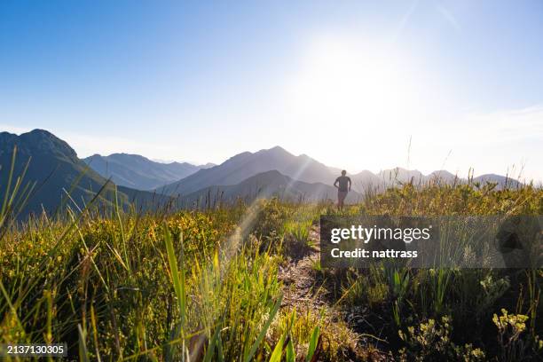 fit female running on a high mountain trail at sunrise - beauty in nature stock pictures, royalty-free photos & images