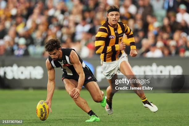 Josh Daicos of the Magpies is chased by Jack Ginnivan of the Hawks during the round four AFL match between Collingwood Magpies and Hawthorn Hawks at...