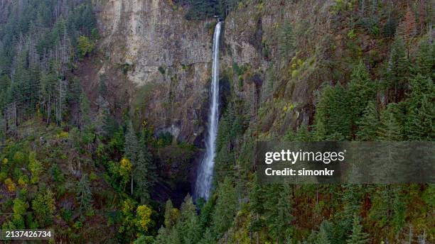 waterfall falling from mountain - multnomah falls stock pictures, royalty-free photos & images