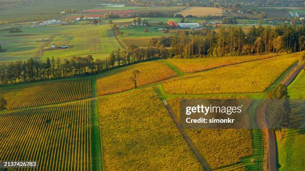 scenic view of agricultural fields - ohio stock pictures, royalty-free photos & images