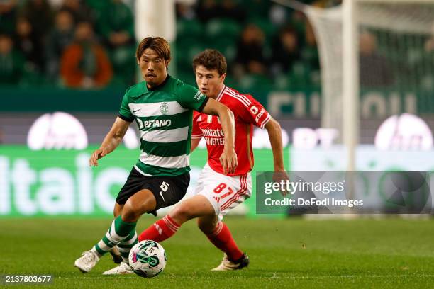 Hidemasa Morita of Sporting CP, Joao Neves of SL Benfica battle for the ball during the Liga Portugal Bwin match between Sporting CP and SL Benfica...