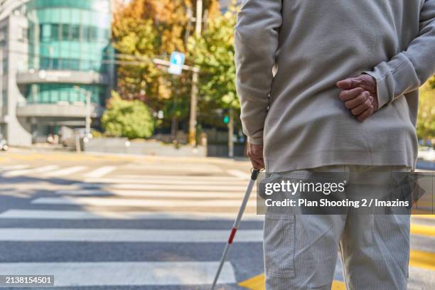 fatigue, discomfort, stress, underprivileged class, back view, elderly, danger, blind person, blinding cane - blind persons cane stock pictures, royalty-free photos & images