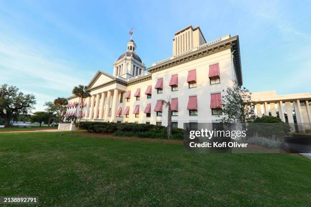 florida state capital complex in tallahassee - florida v florida state stock pictures, royalty-free photos & images