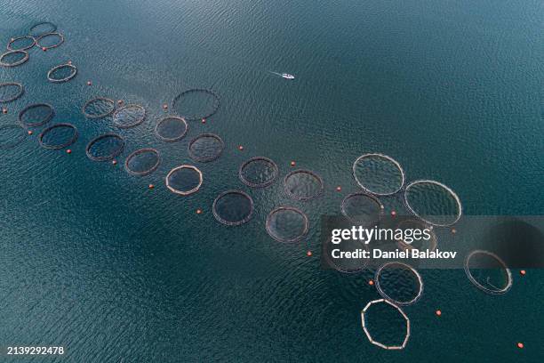 granja acuícola en jaula de peces grande, vista aérea. - acuicultura fotografías e imágenes de stock