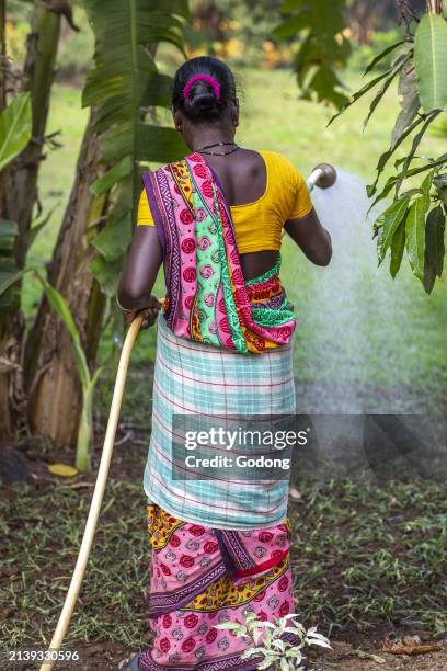 Gardener watering one of the gardens at Goverdan ecovillage, Maharashtra, India.