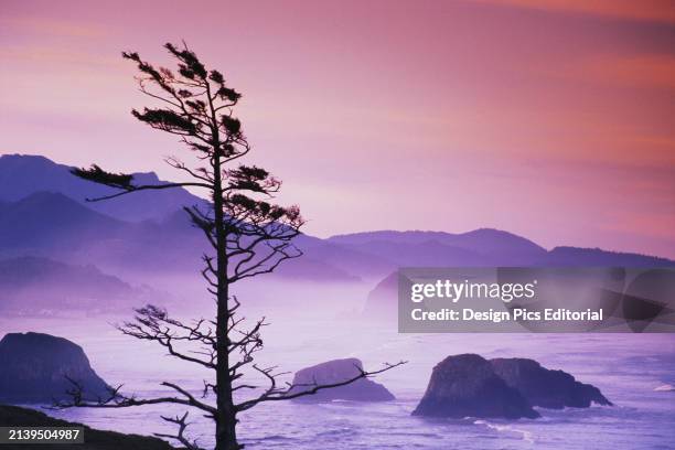 Heavy mist resting over the ocean water and rock formations along the Oregon coast during a dramatic sunrise at Ecola State Park. Oregon, United...