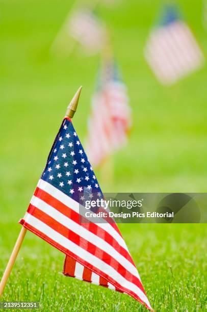 Willamette National Cemetery, Portland, Oregon, Usa; Close-Up Of American Flag