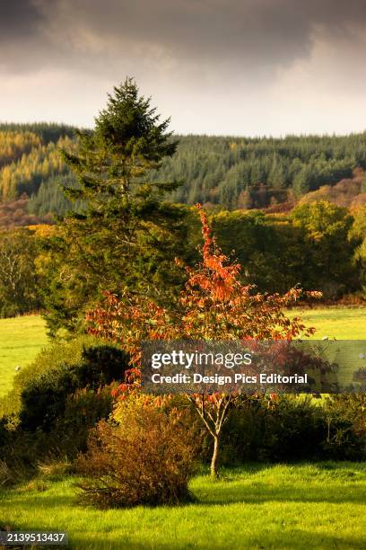 Argyll And Bute, Scotland; Scottish Highlands