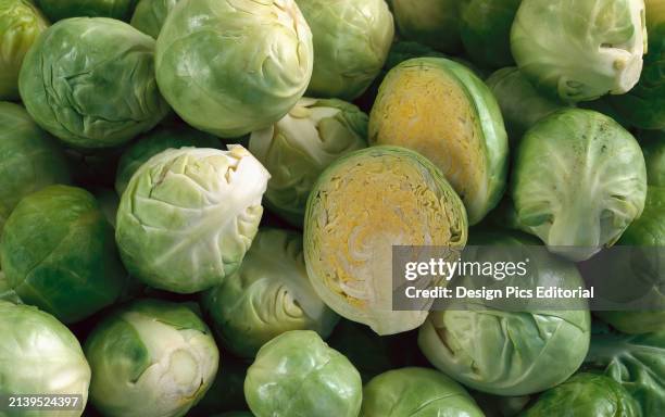 Agriculture - Brussels sprouts with one cut in half / studio.