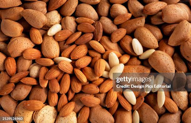 Agriculture - Full frame of shelled, pealed and unshelled almonds, studio.