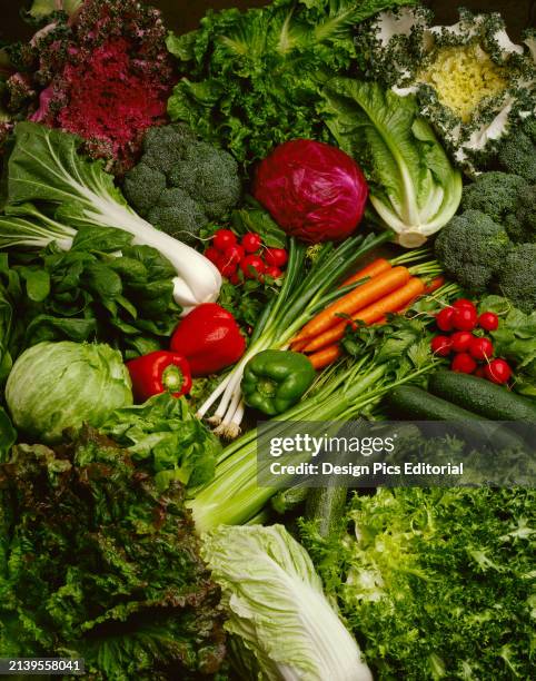 Agriculture - Produce, Mixed Vegetables And Produce; Romaine Lettuce, Green And Red Leaf Lettuce, Iceberg Lettuce, Butter Lettuce, Escarole, Napa...