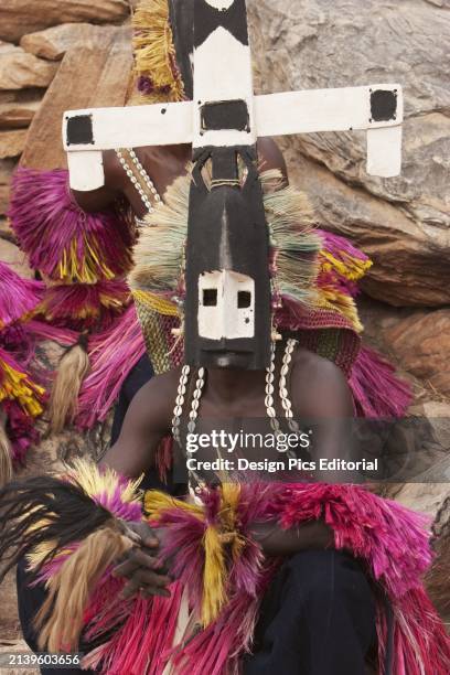 Dancer wearing Kananga mask at the Dama celebration in Tireli, Mali.