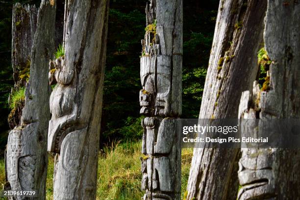 Totem poles at SGang Gwaay Llanagaay, Ninstints in English, an abandoned Haida village site on Anthony Island. Anthony Island, Haida Gwaii, British...