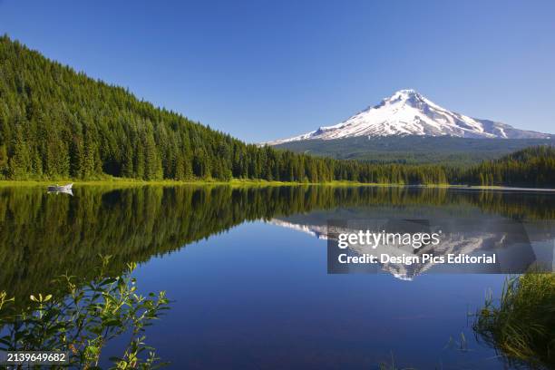 Snow-capped Mount Hood reflected in Trillium Lake, Mount Hood National Forest. Oregon, United States of America.