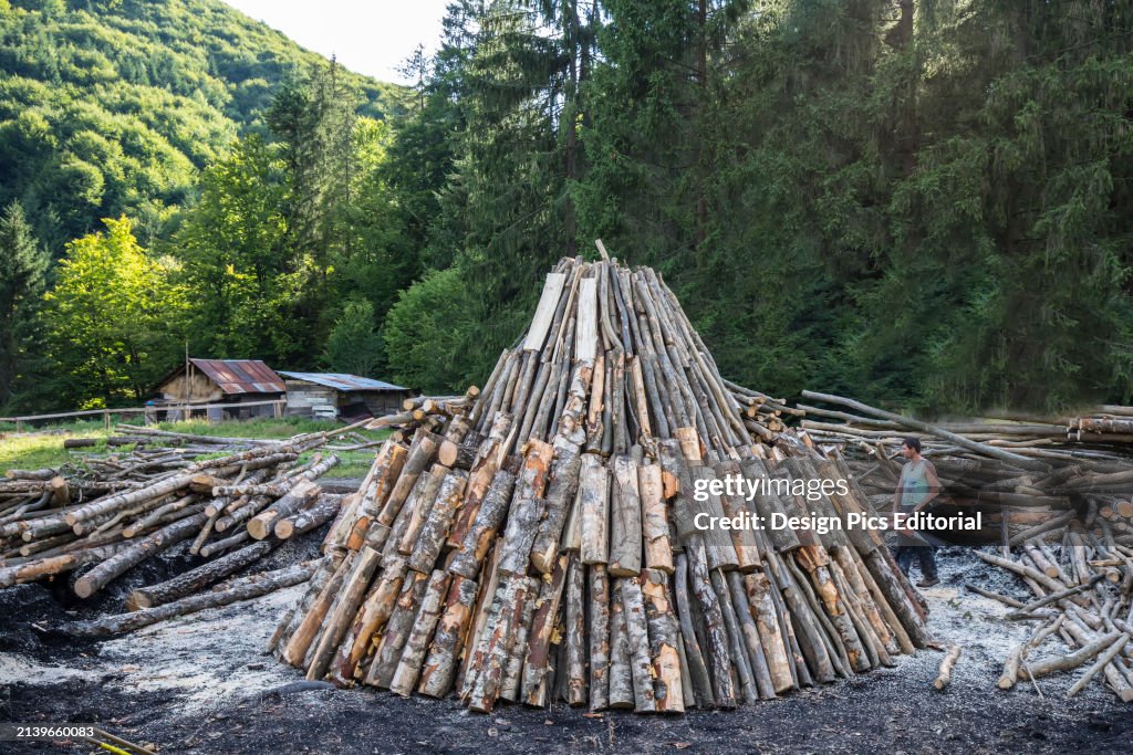 Wood pile being assembled by charcoal makers in forest of Carpathian Mountains, Transylvania. Strambu-Baiut, Maramures County, Romania