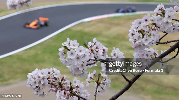 Oscar Piastri of Australia driving the McLaren MCL38 Mercedes and Pierre Gasly of France driving the Alpine F1 A524 Renault on track during practice...