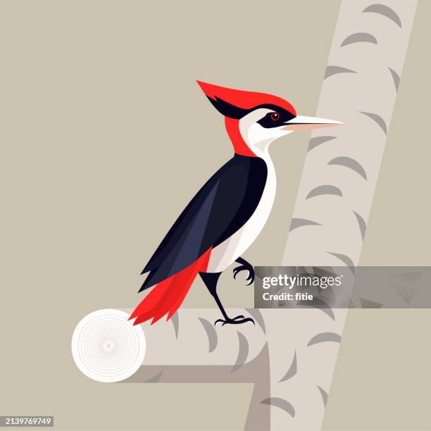 a red-headed woodpecker standing on a tree branch, with a minimalist vector style. - red headed woodpecker stock illustrations
