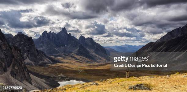 Hiker Standing on An Overlook Taking Photos of The Colourful Valleys In Tombstone Territorial Park In Autumn. Yukon, Canada.