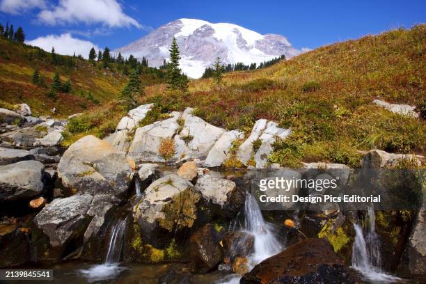 Edith Creek and Mount Raininer, Mount Rainier National Park. Washington, United States of America.