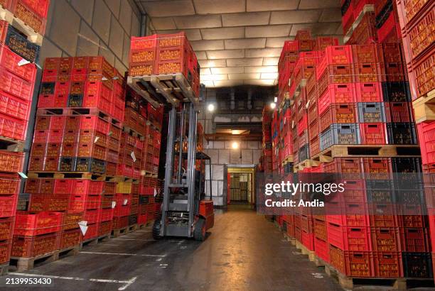 Apricot Storage 119 Postharvest Stock Photos, High-Res Pictures, and Images - Getty Images