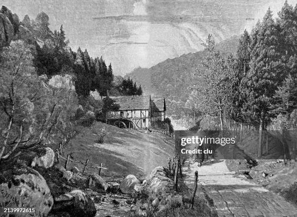 in the valley of the wild gera, river in thuringia - 1891 stock illustrations