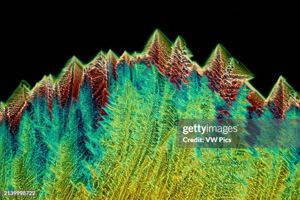 The image presents crystallized tartaric acid, photographed through the microscope in polarized light at a magnification of 100X.