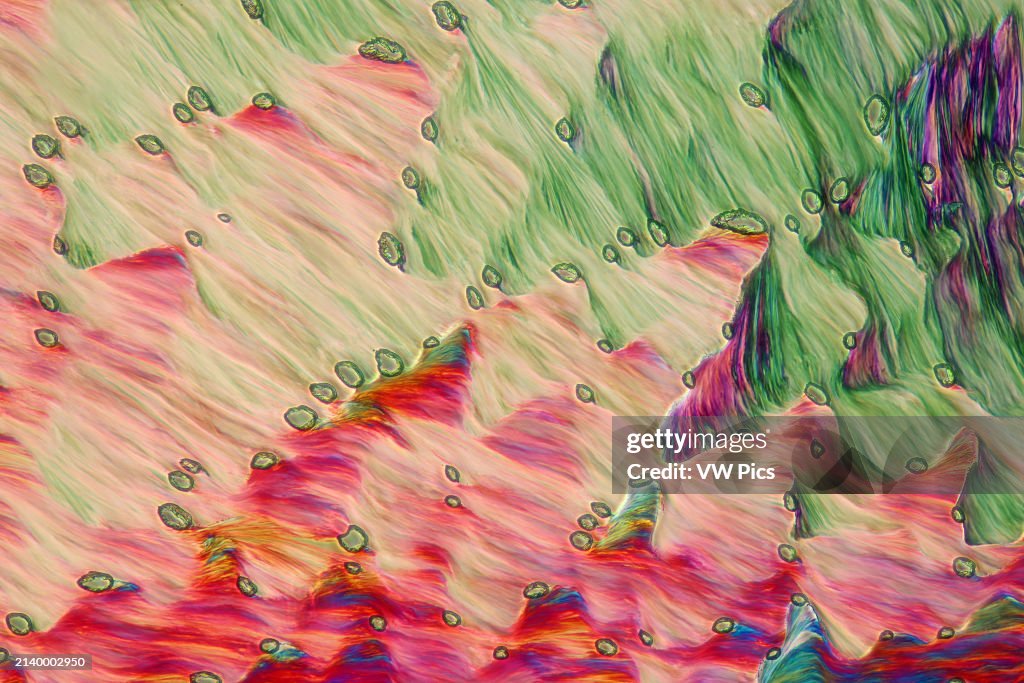 The image presents crystallized mixture of erythritol and TRIS, photographed through the microscope in polarized light at a magnification of 100X
