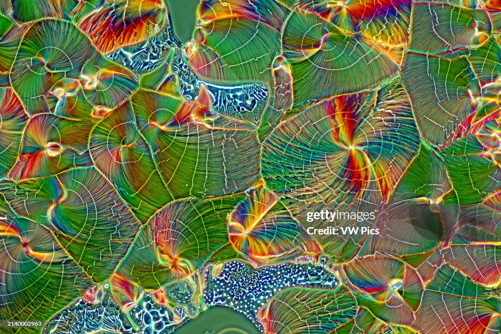 The image presents crystallized mixture of urea and malic acid, photographed through the microscope in polarized light at a magnification of 100X