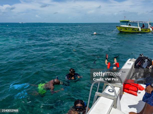 Snorklers in the water in the Hol Chan Marine Reserve on the Belize Barrier Reef near Ambergris Caye, Belize.