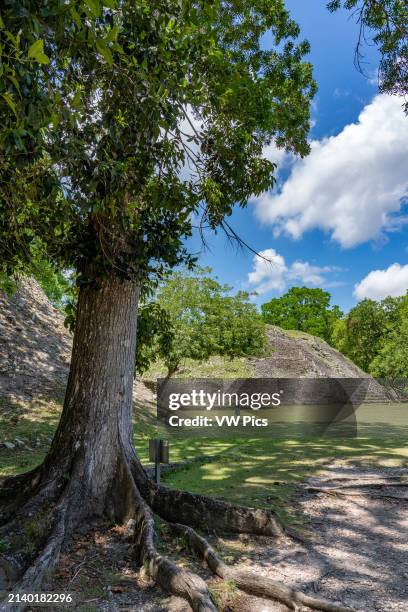 The Xunantunich Archeological Reserve in Belize.