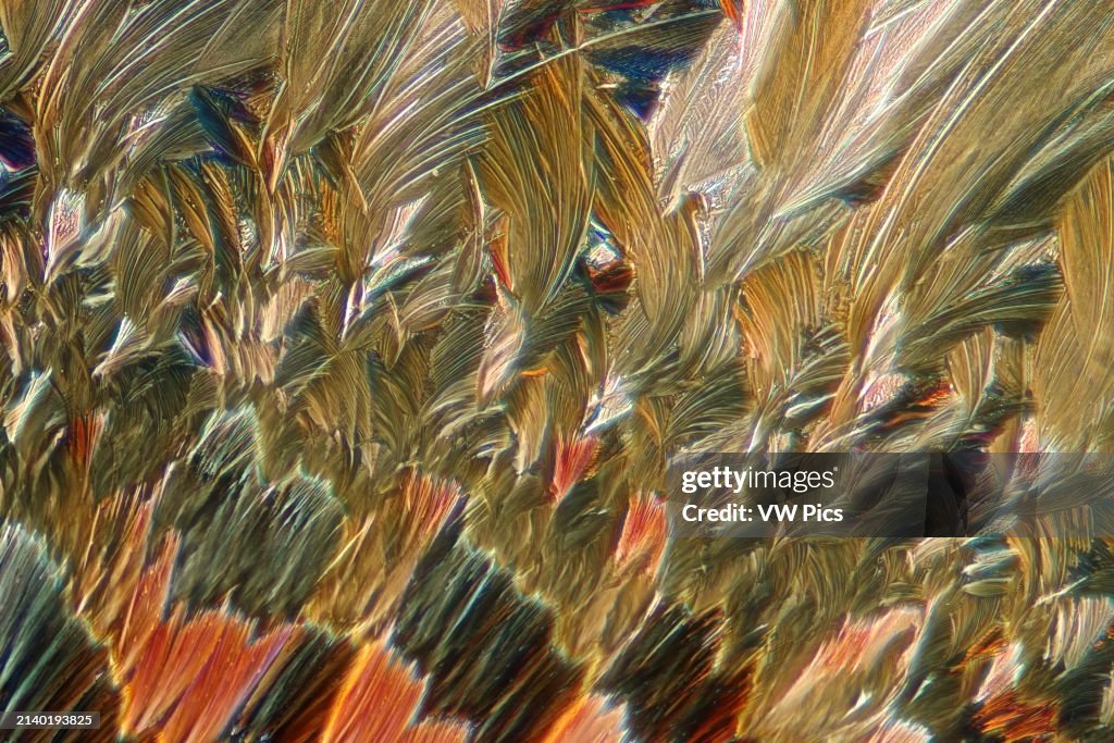 Crystallized mixture of erythritol and resorcinol through the microscope