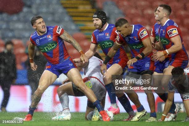Dylan Lucas of the Knights celebrates with team mates after scoring a try during the round five NRL match between Newcastle Knights and St George...