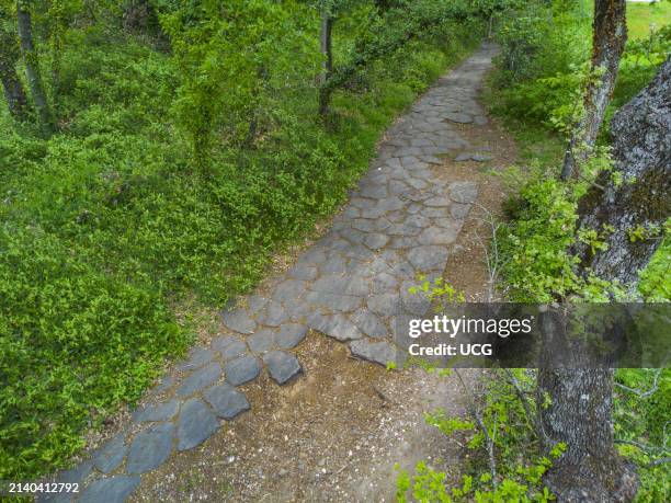 Via Cassia Antica near Montefiascone in the province of Viterbo. This long stretch of ancient Roman consular road, characterised by its still intact...