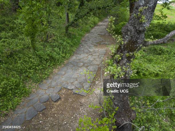 Via Cassia Antica near Montefiascone in the province of Viterbo. This long stretch of ancient Roman consular road, characterised by its still intact...