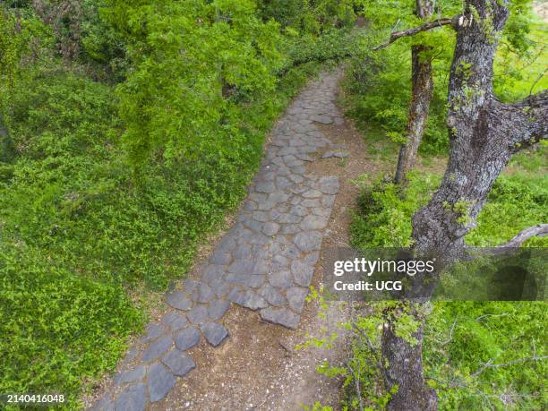 Via Cassia Antica near Montefiascone in the province of Viterbo. This long stretch of ancient Roman consular road, characterised by its still intact...