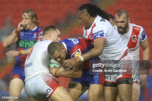 Mathew Croker of the Knights is tackled during the round five NRL match between Newcastle Knights and St George Illawarra Dragons at McDonald Jones...