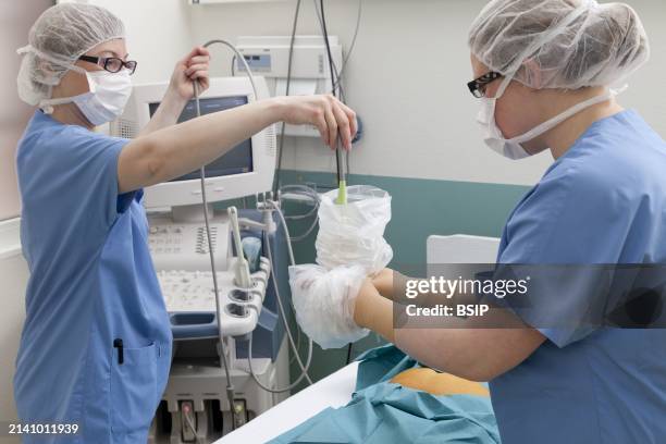 Sampling of amniotic fluid. Sterile preparation of the ultrasound probe.