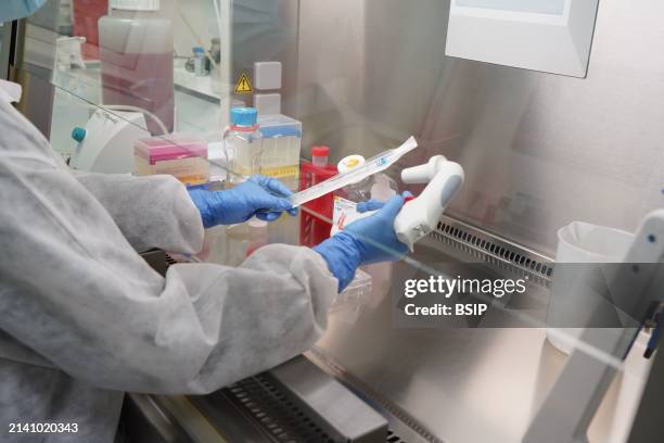 Research on chronic bacterial infections within Inserm. PhD student working on brucellosis bacteria.