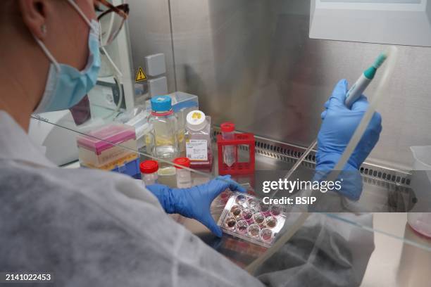 Research on chronic bacterial infections within Inserm. PhD student working on brucellosis bacteria.