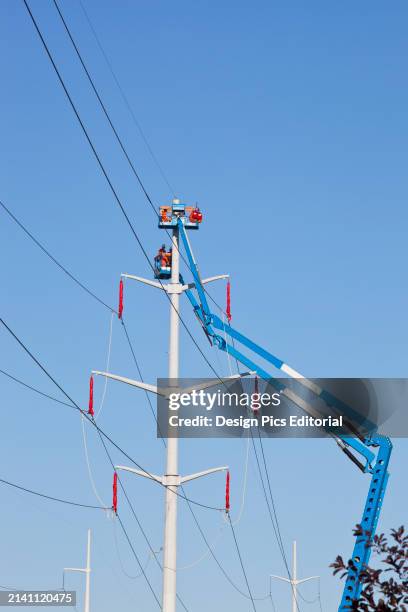 Utility Company Servicing High Voltage Transmission Lines; Edmonton, Alberta, Canada