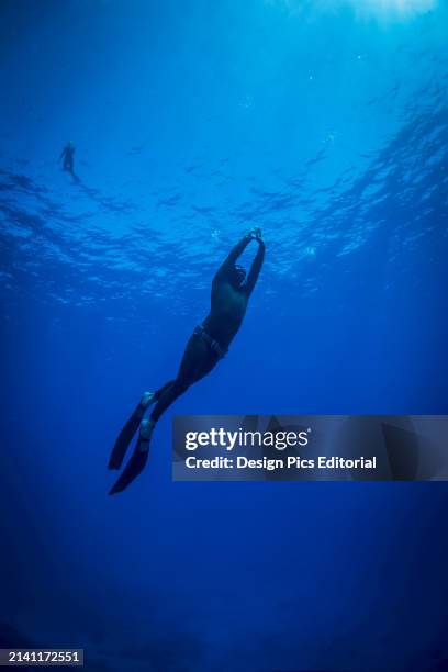 Free Diving. Niue.