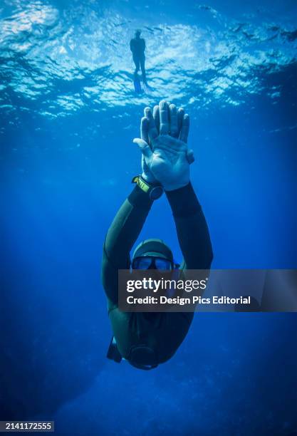 Free Diving. Niue.