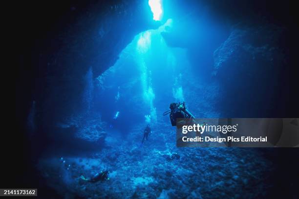 Cave Diving. Palau, Micronesia.