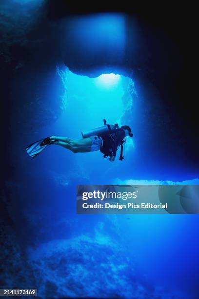 Diving Into The Blue Holes Underwater Caves. Palau, Micronesia.