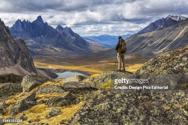 Hiker Standing on A Rock Overlooking The Colourful Valleys In Tombstone Territorial Park In Autumn. Yukon, Canada.