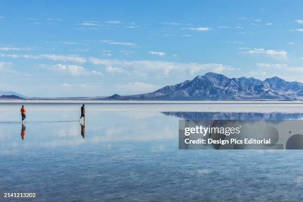 Tourists walk in inches deep salt water near Bonneville Salt Flats. Wendover, Utah, United States of America.