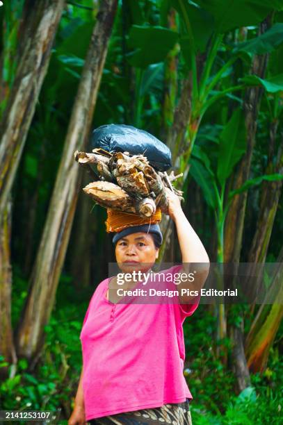 Woman Carries A Variety of Items on The Top of Her Head. Bali, Indonesia.