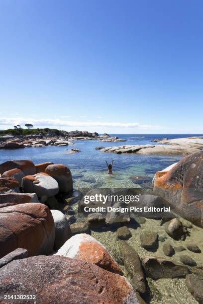 Bay of Fires Beach. Tasmania, Australia.